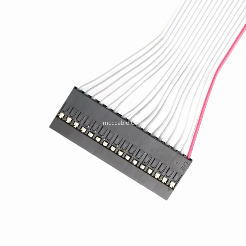 DP2.54-1×16P إلى IDC2.54 2×8P ربان كابل التجميع