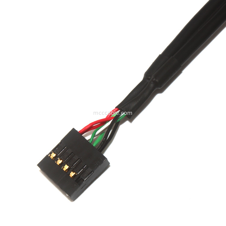 10 دبوس 30AWG 2.54 مم الملعب موليكس كابل الجمعية 150 مم طول موليكس 22-55-2101