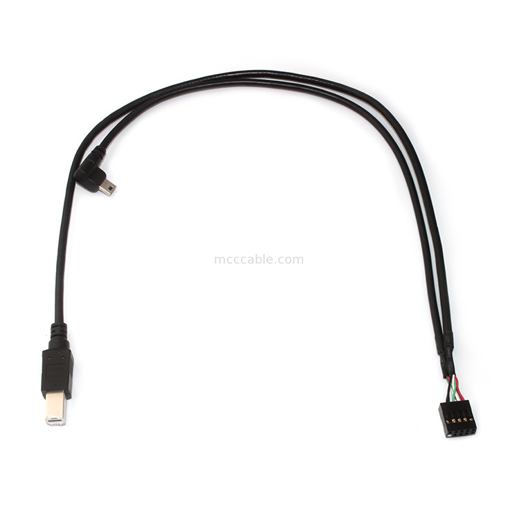 10 دبوس 30AWG 2.54 مم الملعب موليكس كابل الجمعية 150 مم طول موليكس 22-55-2101