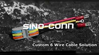 PCT-2-3 3 Pole Lever Nut Wire Harness 18AWG نظرة عامة على قطع الاتصال السريع
