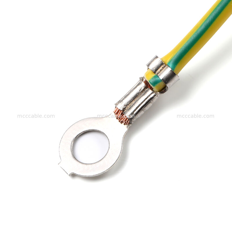 تجميع سلك الطاقة من النوع IEC C14 المثبت على اللوحة إلى النوع C13 مع سلك أرضي