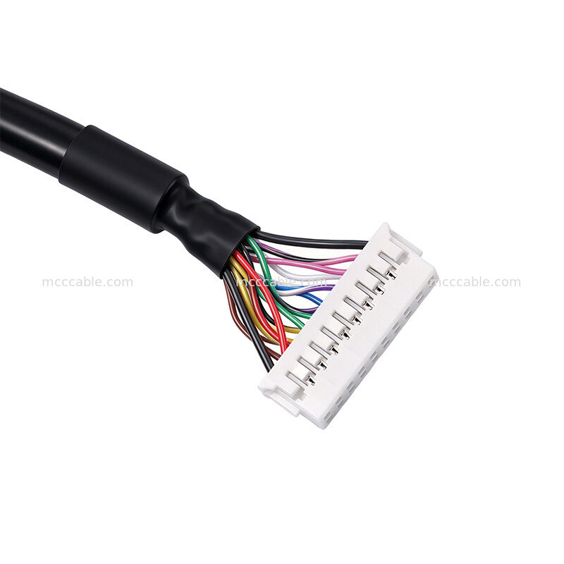 Custom M.2 to Adapter Board Cable Assembly with 20-Pin PHDR-20VS Connectors